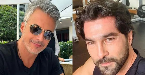 El actor argentino confesó si la razón de sus diferencias es Aracely Arámbula