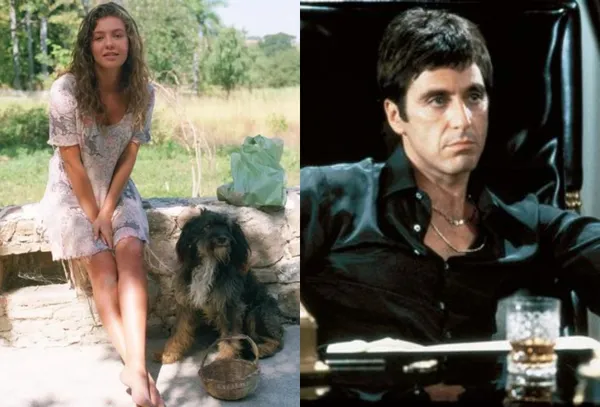El famoso perro de Marimar, llamado Pulgoso, se convirtió en uno de los personajes más importantes de la telenovela y te contamos qué tiene en común con Richard Gere y Mel Gibson