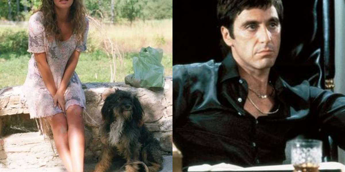 El famoso perro de Marimar, llamado Pulgoso, se convirtió en uno de los personajes más importantes de la telenovela y te contamos qué tiene en común con Richard Gere y Mel Gibson  