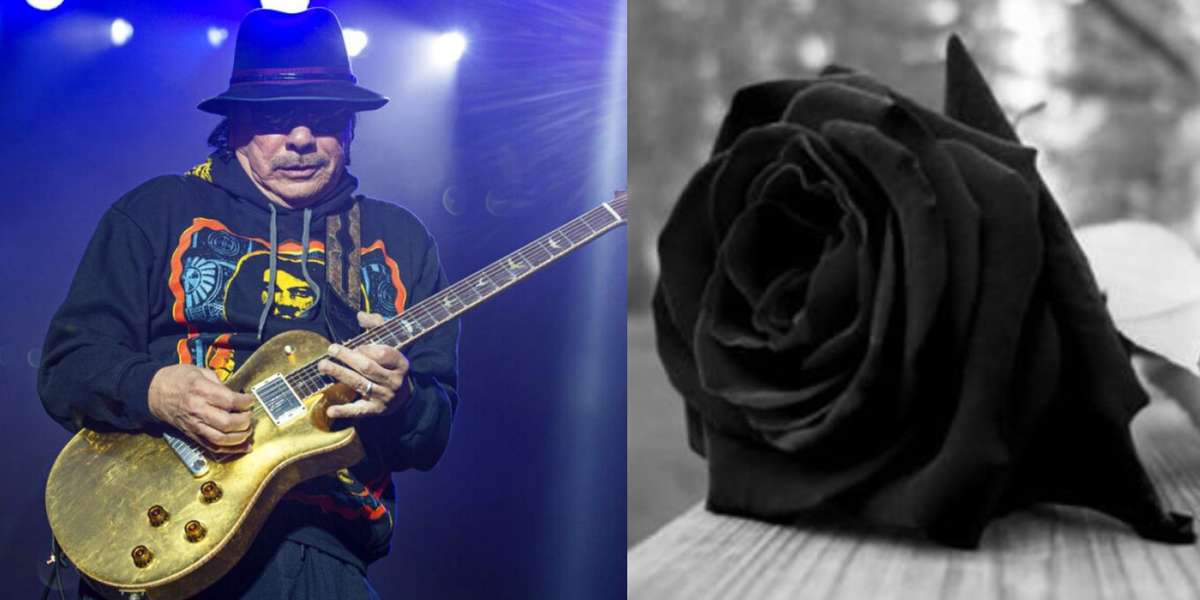 El mundo de la música está de luto pues uno de los famosos guitarristas del Rock ha dejado este mundo por una extraña enfermedad 