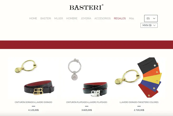 Página web Basteri