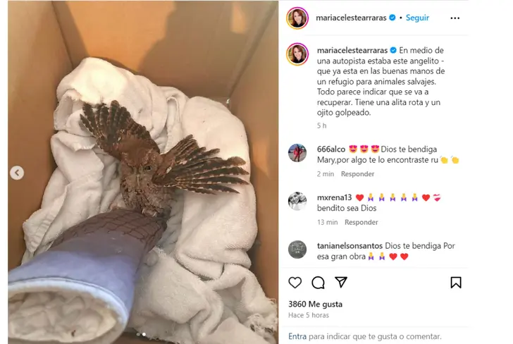 Vía Instagram María Celeste Arrará