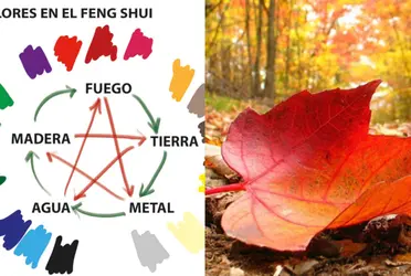 Los colores que deberás utilizar en este otoño 2023 según el Feng Shui para tener la mejor suerte