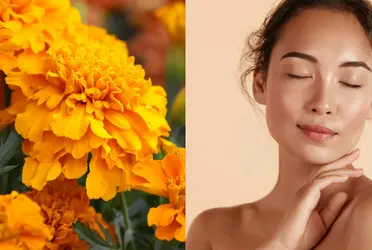 Los beneficios que tiene la flor de cempasúchil para la belleza y hasta la salud