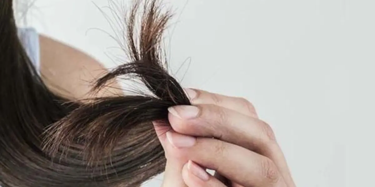 Los mejores tips para restaurar las puntas del cabello 