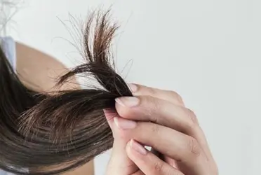 Tips para reparar las puntas abiertas del cabello                                     